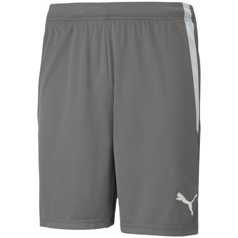 Puma teamLIGA M 704924 13 šortky