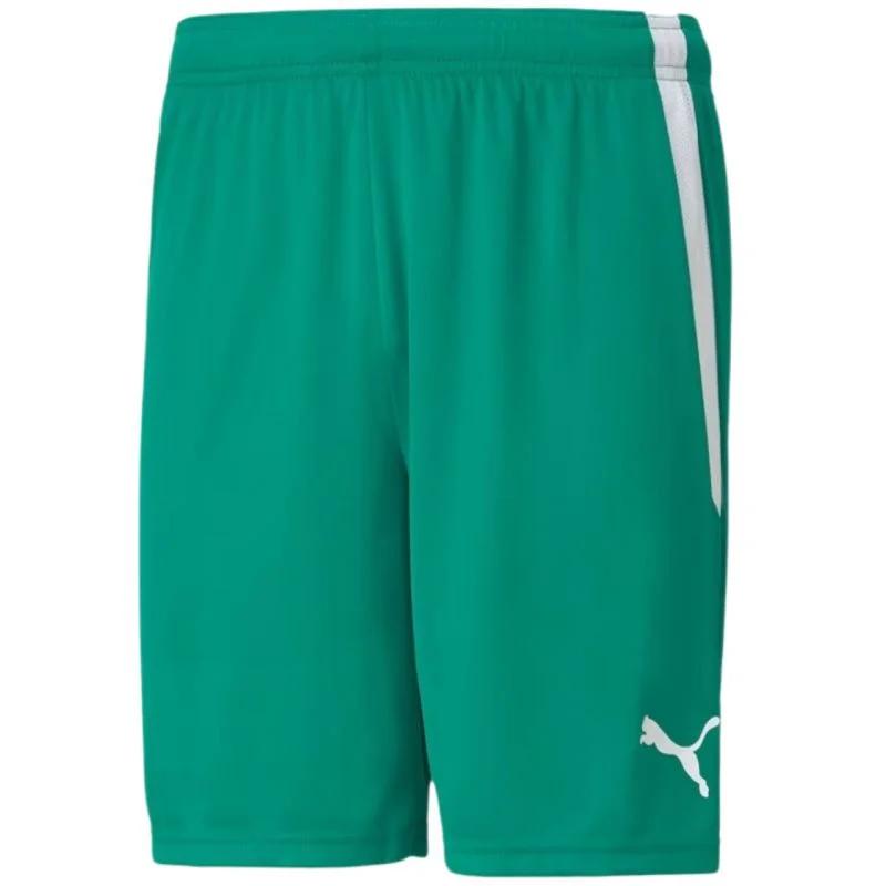 Šortky Puma teamLiga M 704924 05 - Pro muže pro muže kraťasy