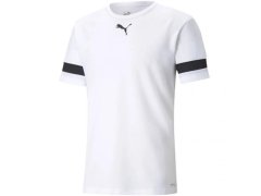 Pánské boty teamRISE M 704932 04 - Puma