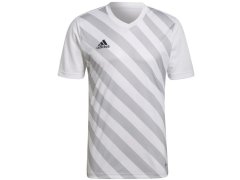 Pánský dres Entrada 22 Graphic Jersey M HF0129 - Adidas