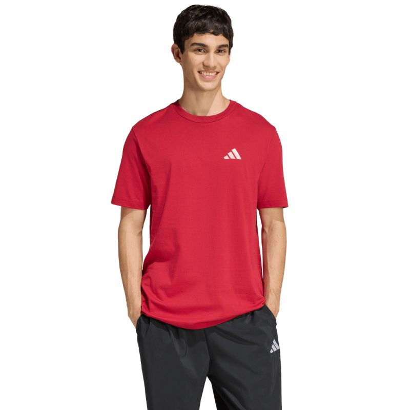 Pánské tričko adidas Outdoor Mountain Biking Graphic T-shirt red KB2538 pánské