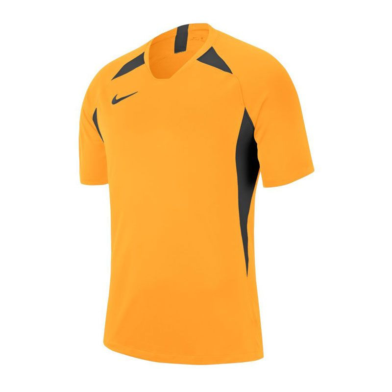 Pánský dres Legend SS Jersey M AJ0998-739 - Nike - Pro muže trička, tílka, košile