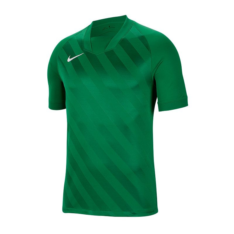 Pánské boty Challenge III M BV6703-302 - Nike - Pro muže trička, tílka, košile