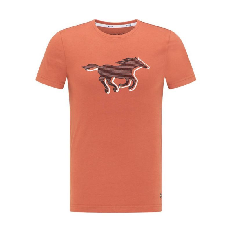Pánské tričko Aaron C Print M 1009522 7103 - Mustang - Pro muže trička, tílka, košile