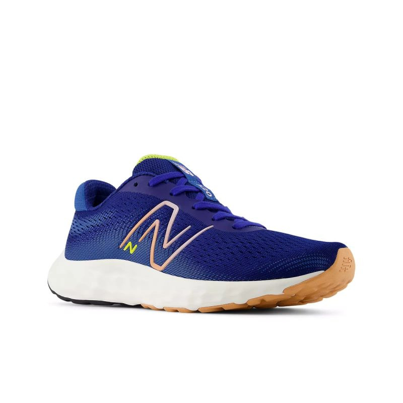 Běžecká obuv New Balance W520RN8 - Pro ženy pro ženy boty