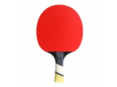 Pálka na stolní tenis Cornilleau Perform 600
