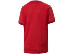 Puma teamGOAL 23 Jersey Jr 704160 01 tričko 3