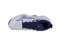 Mizuno Wave Momentum 3 M V1GA231243 2