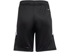 Šortky adidas Tiro 24 Jr IR9368 6