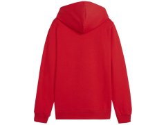 Mikina Puma Team Goal Casuals Hoddy Jr 658619 01 5