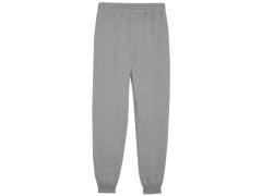 Juniorské kalhoty Puma Team Goal 658601 33 8