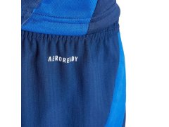 Šortky adidas Tiro 24 Competition Match M IQ4754 7
