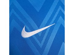 Nike Dri Fit Challenge V Jsy SS tričko M FD7412 463 pánské 6
