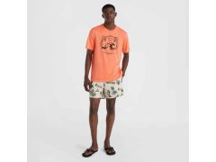 Tričko O´Neill Mix & Match Wave M 92800613917 7
