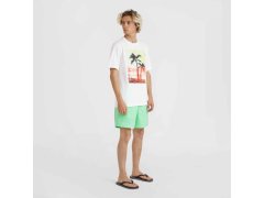 O´Neill Jack Neon T-Shirt M 92800613598 7