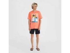 O´Neill Jack Neon T-Shirt M 92800613602 6