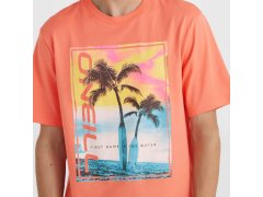 O´Neill Jack Neon T-Shirt M 92800613602 7