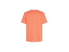 O´Neill Mix & Match Palm T-Shirt M 92800613905 5