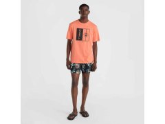 O´Neill Mix & Match Palm T-Shirt M 92800613905 7