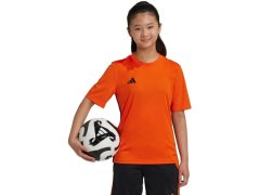 Adidas Table 23 Jersey Jr JJ1157 tričko 5