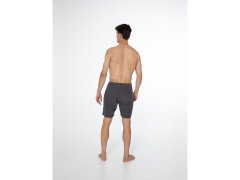 Protest pánské sportovní šortky PRTFEARGHUS Surfable Short for summer grey (P2713821/899) 6