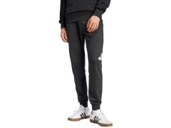 Kalhoty adidas Essentials Big Logo French Terry M IN6163 1