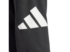 Kalhoty adidas Essentials Big Logo French Terry M IN6163 5