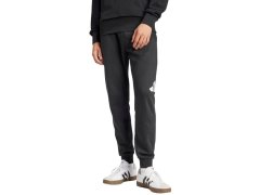 Kalhoty adidas Essentials Big Logo French Terry M IN6163 8