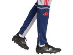 Kalhoty adidas Squadra 25 Training M JP3372 3