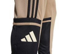 Kalhoty adidas Squadra 25 Training M JP3374 4