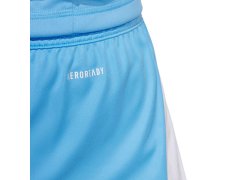 Šortky adidas Tiro 24 M JI6093 4