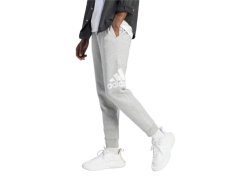 Tepláky adidas Big Logo Fleece M IJ6482 1