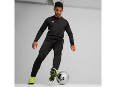 Puma Team Goal Training kalhoty M 658639 03 5