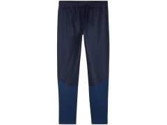 Puma Team Goal Training M kalhoty 658639 06 1