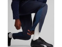 Puma Team Goal Training M kalhoty 658639 06 4