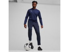 Puma Team Goal Training M kalhoty 658639 06 5