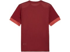 Pánský dres Puma teamGoal Matchday Jersey bordó 705747 09 pánské 1