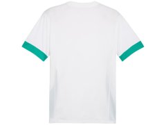 Pánský dres Puma teamGoal Matchday Jersey white and green 705747 15 pánské 3