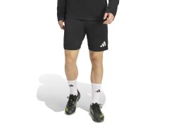 Tréninkové šortky adidas Entrada 26 KD0985 1