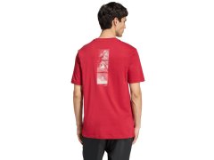 Pánské tričko adidas Outdoor Mountain Biking Graphic T-shirt red KB2538 pánské 2