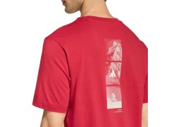 Pánské tričko adidas Outdoor Mountain Biking Graphic T-shirt red KB2538 pánské 4