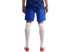 Pánské tréninkové šortky Nike France Dri-Fit Adv Elite modré IB4603 480 1