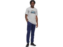Pánské tričko adidas Sportsman Mountain Graphic T-shirt light grey KC9253 pánské 5