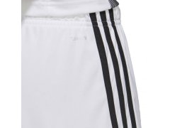 Šortky adidas Tastigo 19 M DP3247 2