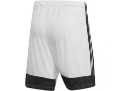 Šortky adidas Tastigo 19 M DP3247 4