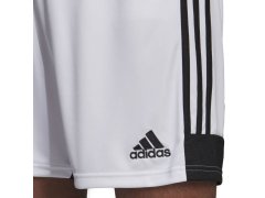 Šortky adidas Tastigo 19 M DP3247 6