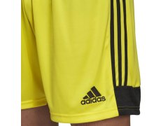 Pánské šortky Tastigo 19 DP3249 žlutá - Adidas 6