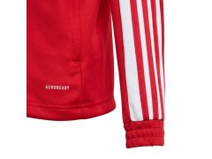 Mladá tréninková mikina Squadra 21 GP6458 - Adidas 5