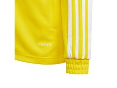 Mladá tréninková mikina Squadra 21 GP6453 - Adidas 5