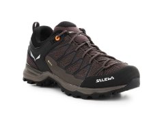 Salewa Pánské boty Mtn Trainer Lite GTX M 61361-7512 1
